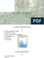 Floresta Tropical