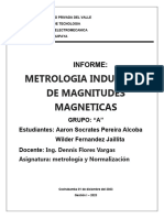 Informe Magnitudes Magneticas