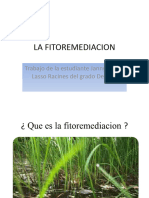 La Fitoremediacion