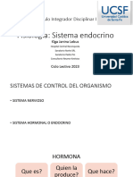 7-Fisiologia Sistema Endocrino