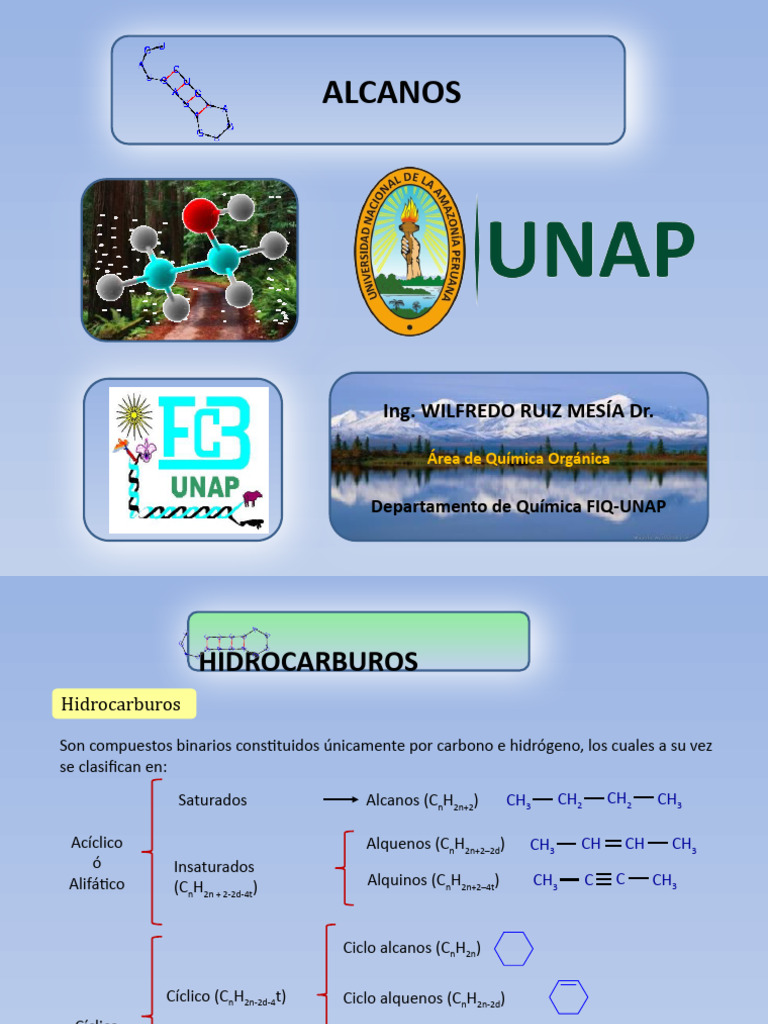 Alcanos | PDF | Alcano | Hidrocarburos