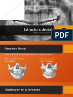 Estructura Dental