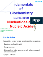 04 Nucleotides Students