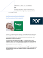 Trabajo Prctico Publicidades Canavesi Soro