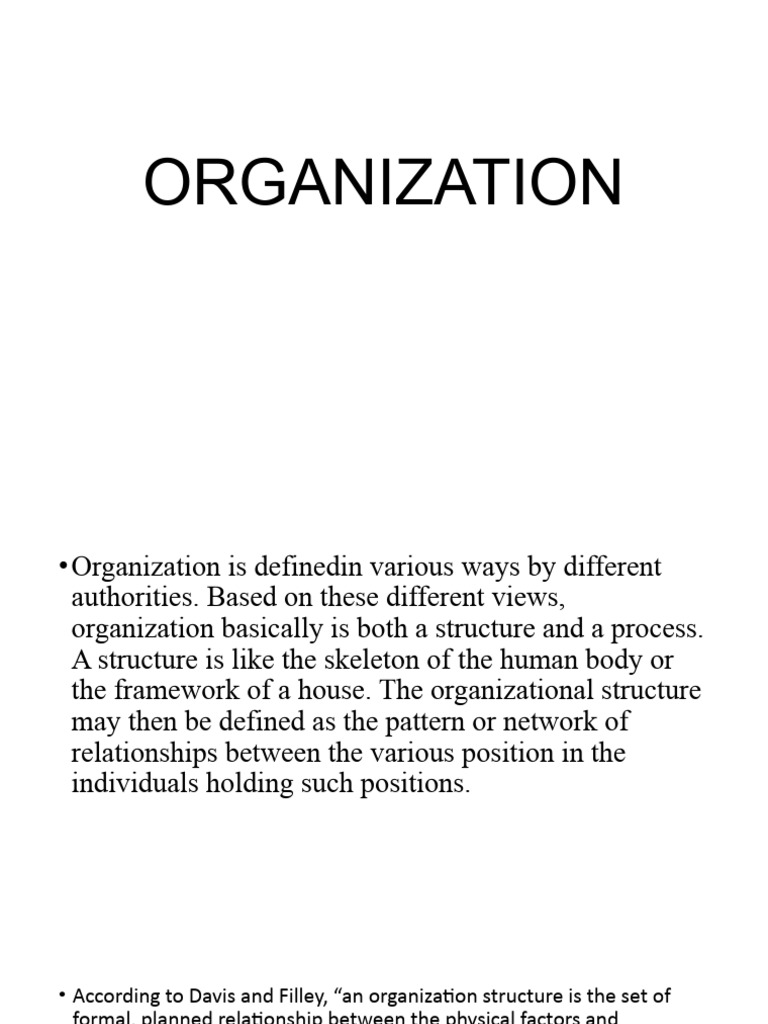 Report - Organization | PDF | Organizational Structure | Business