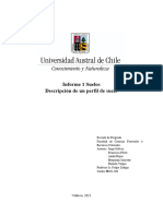 Informe Suelos, Descripción de Perfil de Suelo Del Arboretum, Universidad Austral