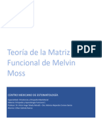 Teoría de La Matriz Funcional de Melvin Moss