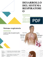 Desarrollo Del Sistema Respiratorio