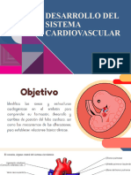 Desarrollo Del Sistema Cardiovascular