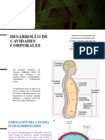 Desarrollo Cavidades