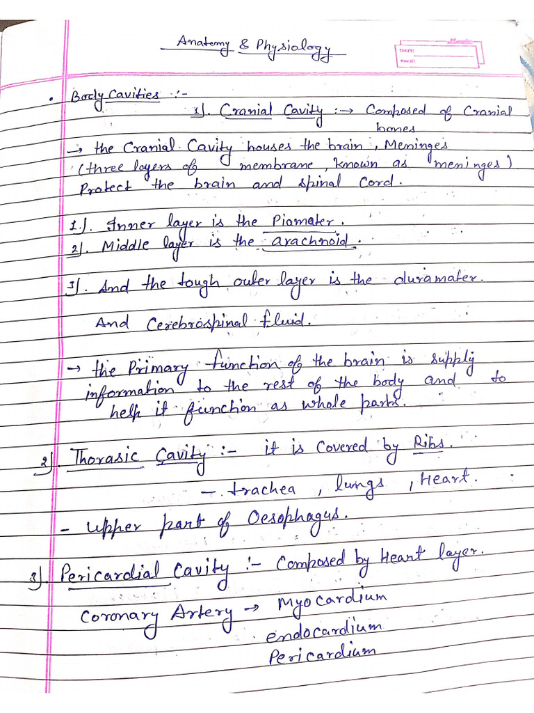 Anatomy and Physiology | PDF