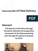 Mechanism of Fetal Delivery 1