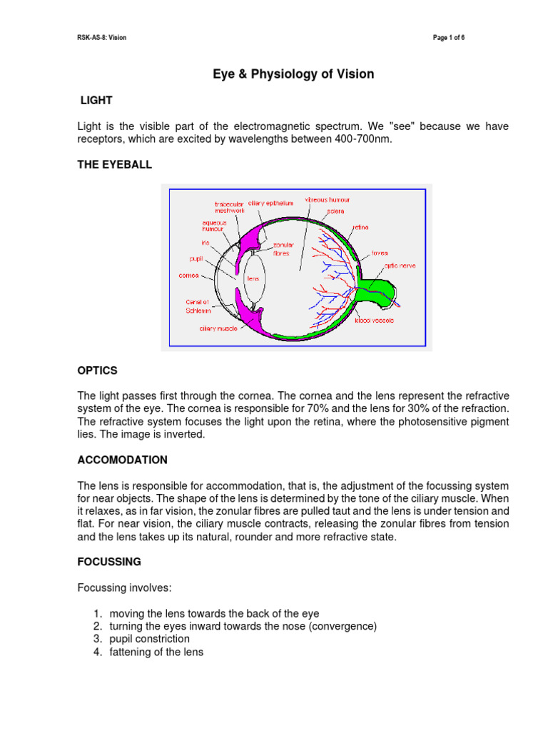 Vision-Lecture Notes-Rsk | PDF | Retina | Color