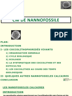 CM_NANOSTRATIGRAPHIE_UNIV MAN_DEC 2020