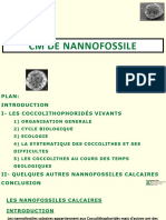 CM - Nanostratigraphie - Univ Man - Dec 2020