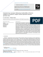 Constraint Loss Correction Enhancing Transferability of F 2023 Engineering