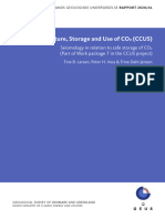 Seismology in Relation To Safe Storage of CO2 (GEUS Rapport 2020 - 41)