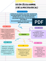 Diagrama #8