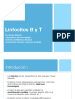 Linfocitos B y T