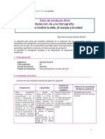Guía Producto Final-Monografía-DPII