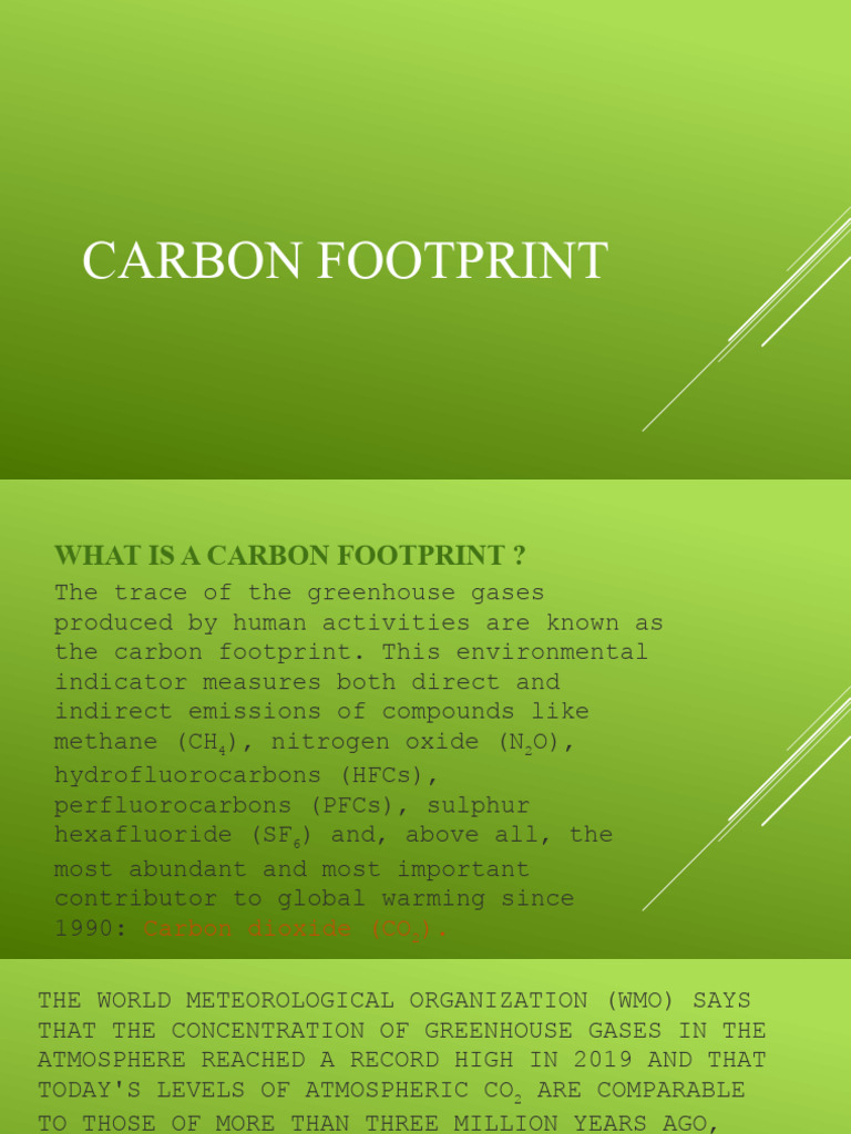 Understanding Carbon Footprint Basics | PDF | Carbon Footprint ...