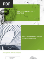 Junos Intermediate Routing