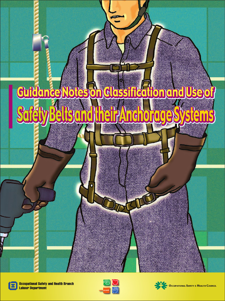 Belt PDF Safety Seat Belt