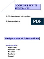 Semiologie Des Petits Ruminants: 1-Manipulations Et Interventions 2 - Examen Clinique