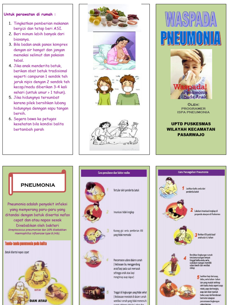 Edukasi Perawatan Pneumonia Anak | PDF | Kesehatan Holistik