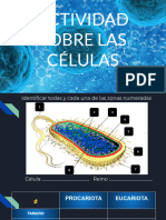 Célula