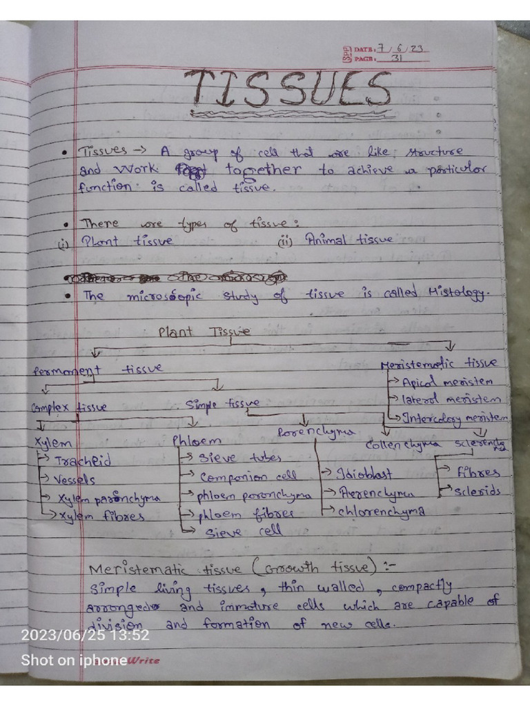 CH 2 Notes Science | PDF