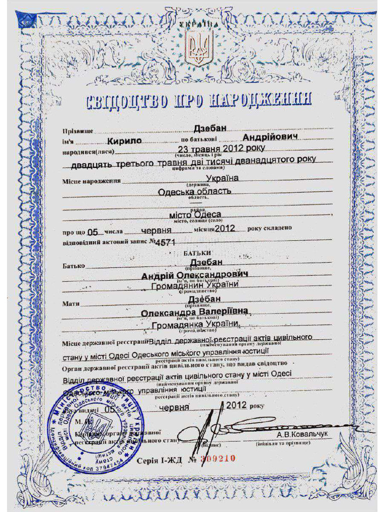 HOW TO MAKE BIRTH CERTIFICATE INTO PDF visual data 8
