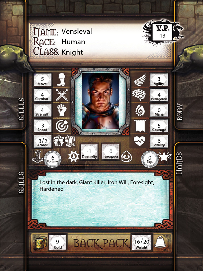 Dungeon Universalis Hero Sheet Fillable With Names | PDF