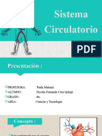 Sistema Circulatorio