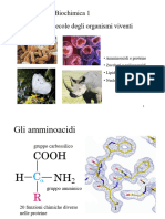 Lezione Amminoacidi 2021