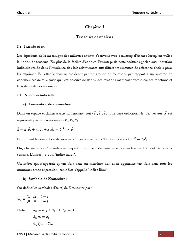 Tenseurs cartésiens et laplacien | PDF | Tenseur | Base (algèbre linéaire)