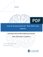 Guia de Interpretacion Brain Brief