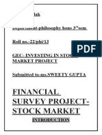 Financial Survey Project - Stock Market