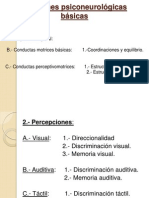 Funciones Psiconeurolc3b3gicas Bc3a1sicas