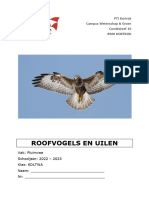 Invulcursus - Pluimvee - Roofvogels en Uilen