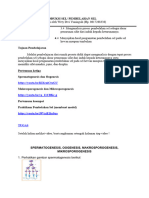 LKPD REPRODUKSI SEL 2 Pandemi