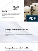 Doencas Dermatologicas e Tratamentos em Caes