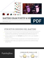 Bakteri Gram Positive & Negative