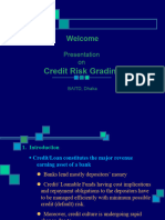 Credit Risk Grading