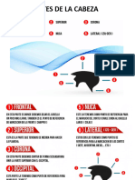 Barberiapdf 2 PDF Free
