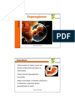 Organogenese e Anexos Embrionarios PDF