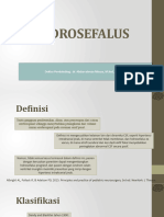 Hidrosefalus O1o2 Fix