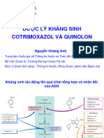 Cotrimoxazol Va Quinolon 2023 2024