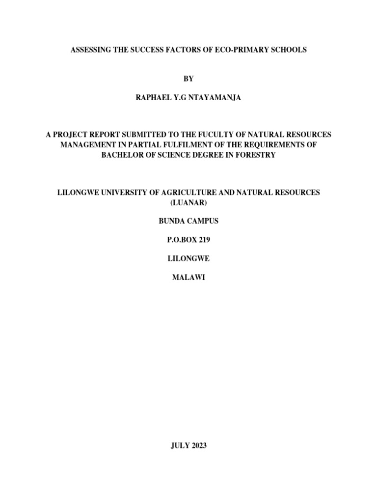 Final Project Report | PDF | Focus Group | Leadership