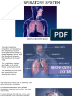 The Respiratory System